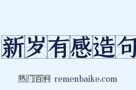 新岁有感造句是什么意思的图片